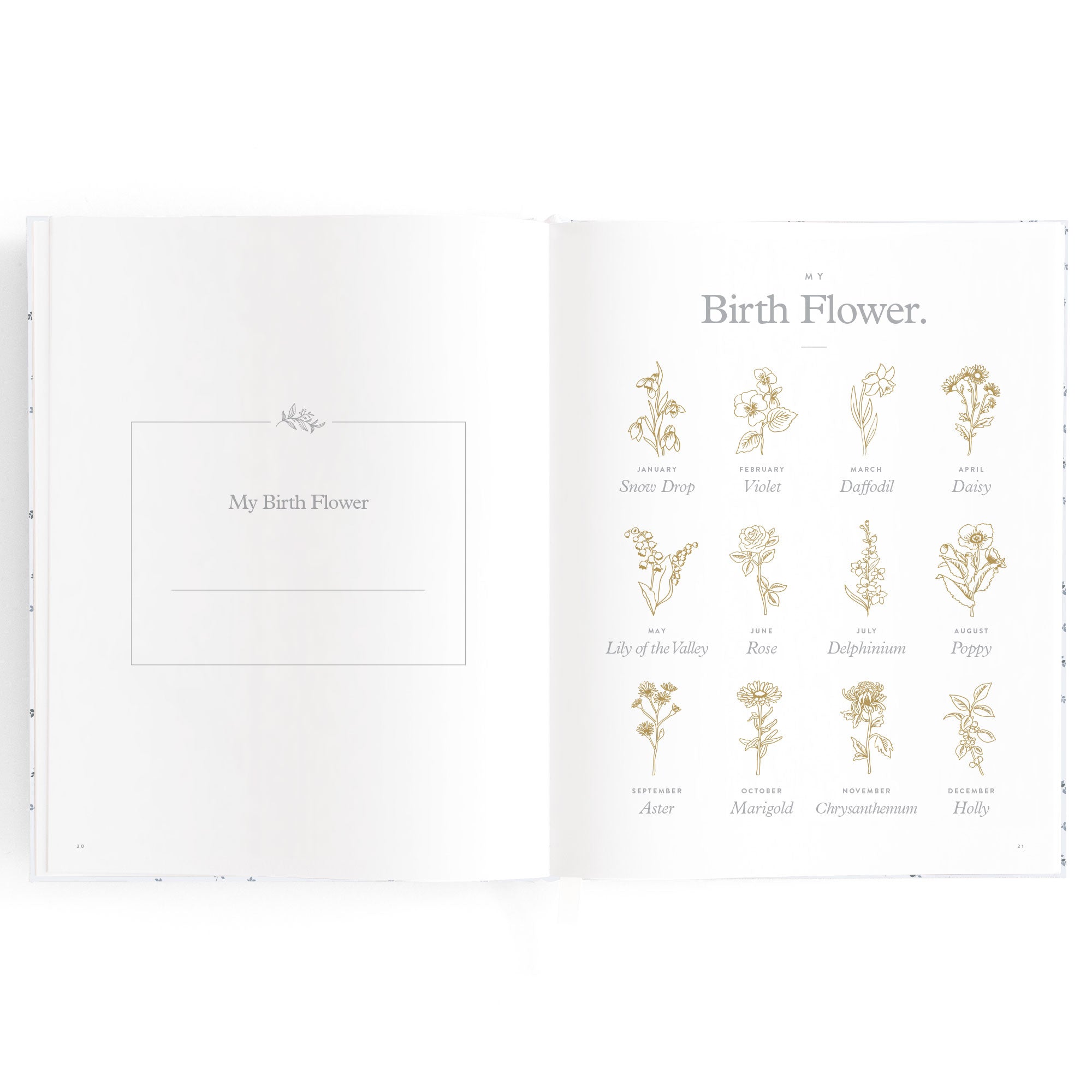 Fox & Fallow Baby Book - Bluebell
