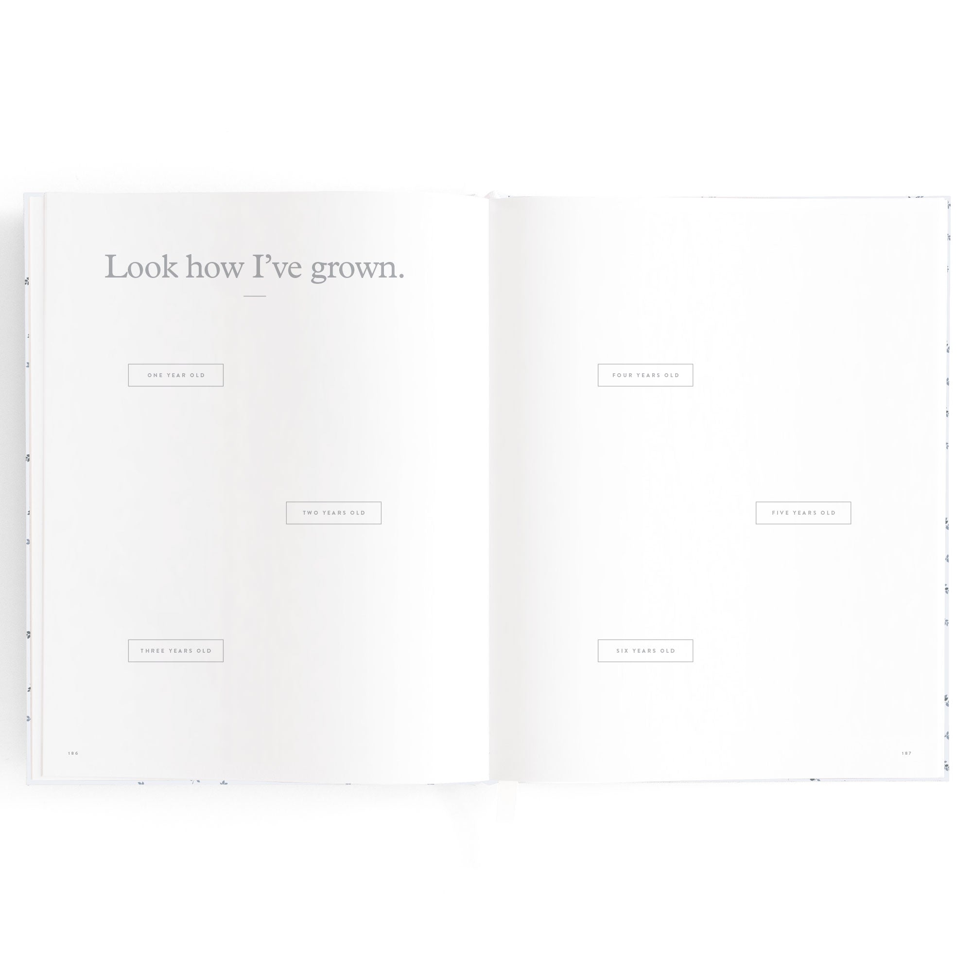 Fox & Fallow Baby Book - Bluebell
