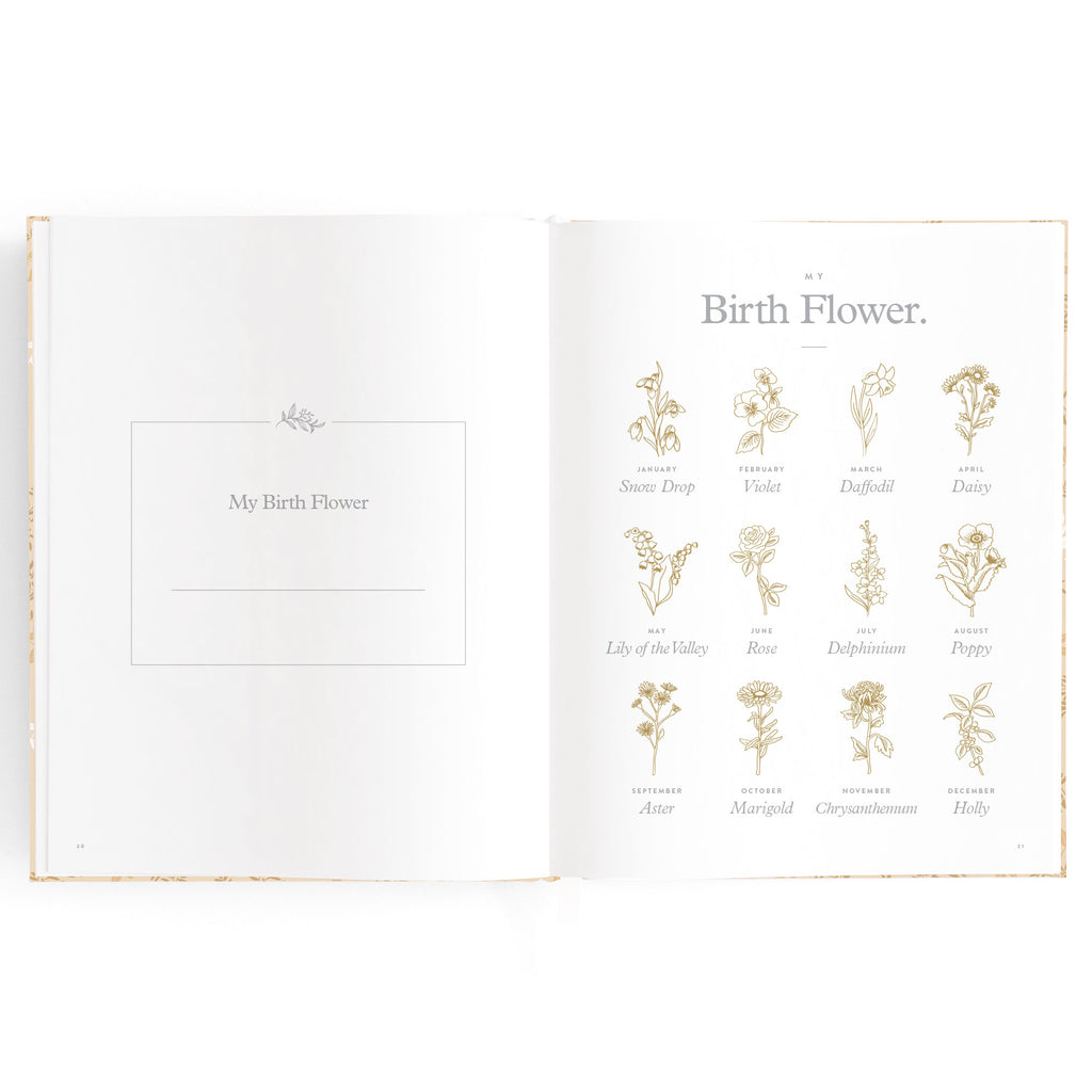 Fox & Fallow Baby Book - Cedarwood