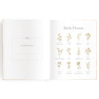 Baby Book - Cedarwood
