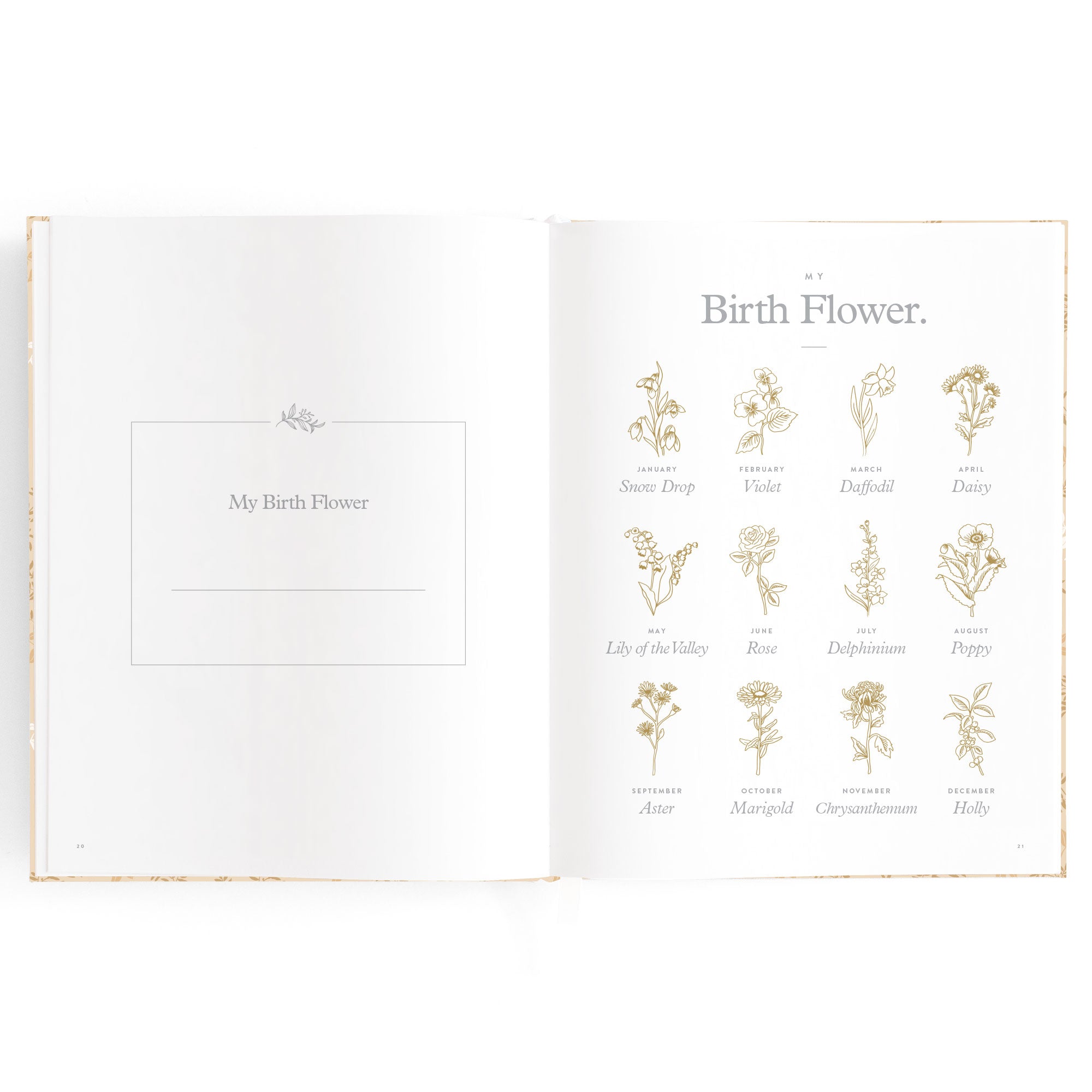 Fox & Fallow Baby Book - Cedarwood