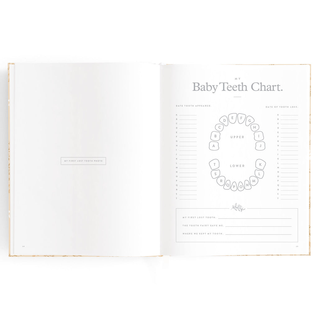 Fox & Fallow Baby Book - Cedarwood