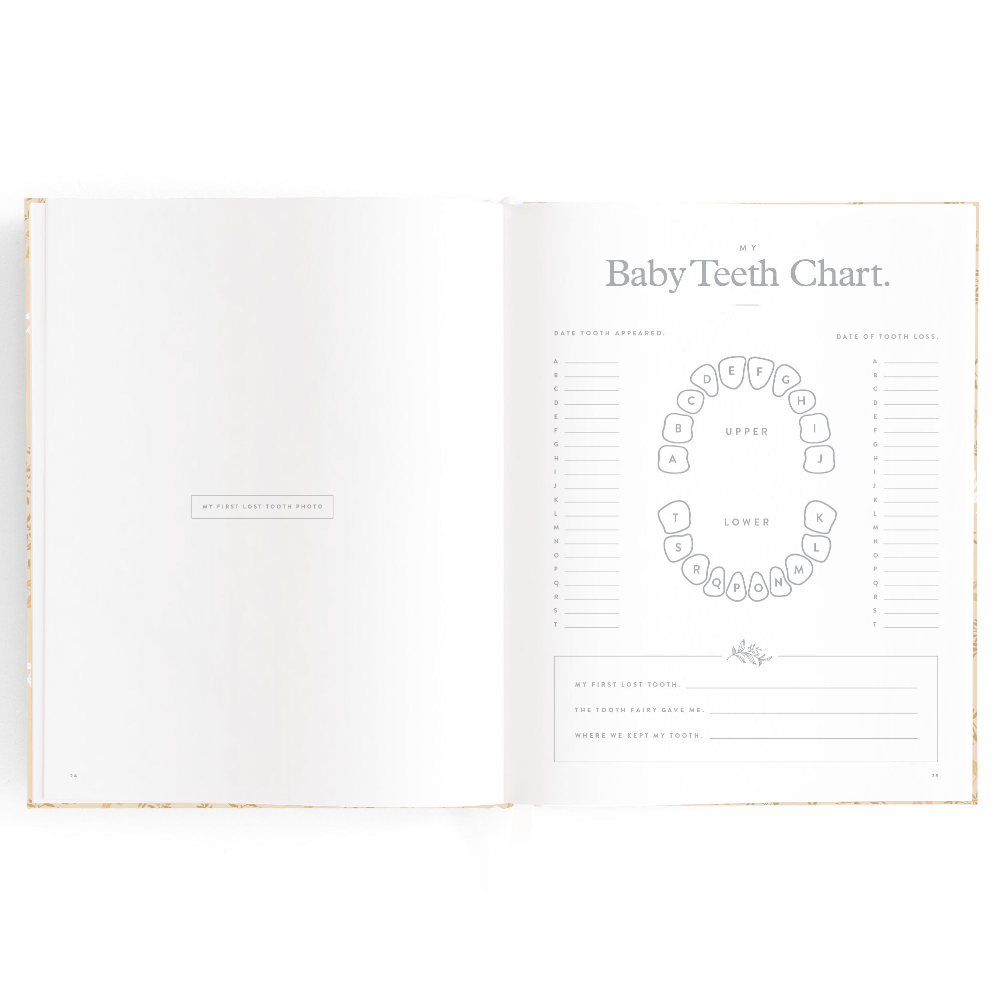 Fox & Fallow Baby Book - Cedarwood
