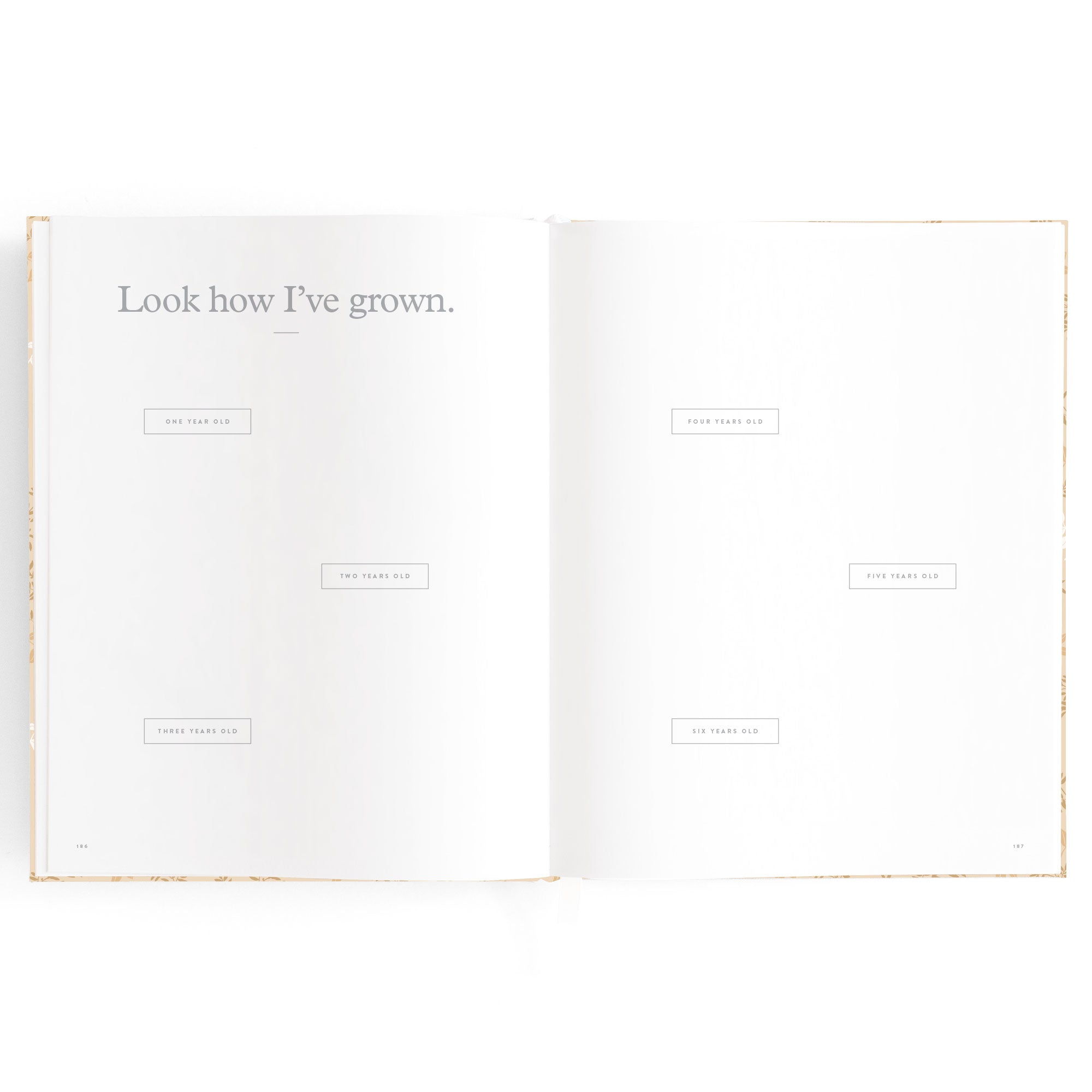 Fox & Fallow Baby Book - Cedarwood