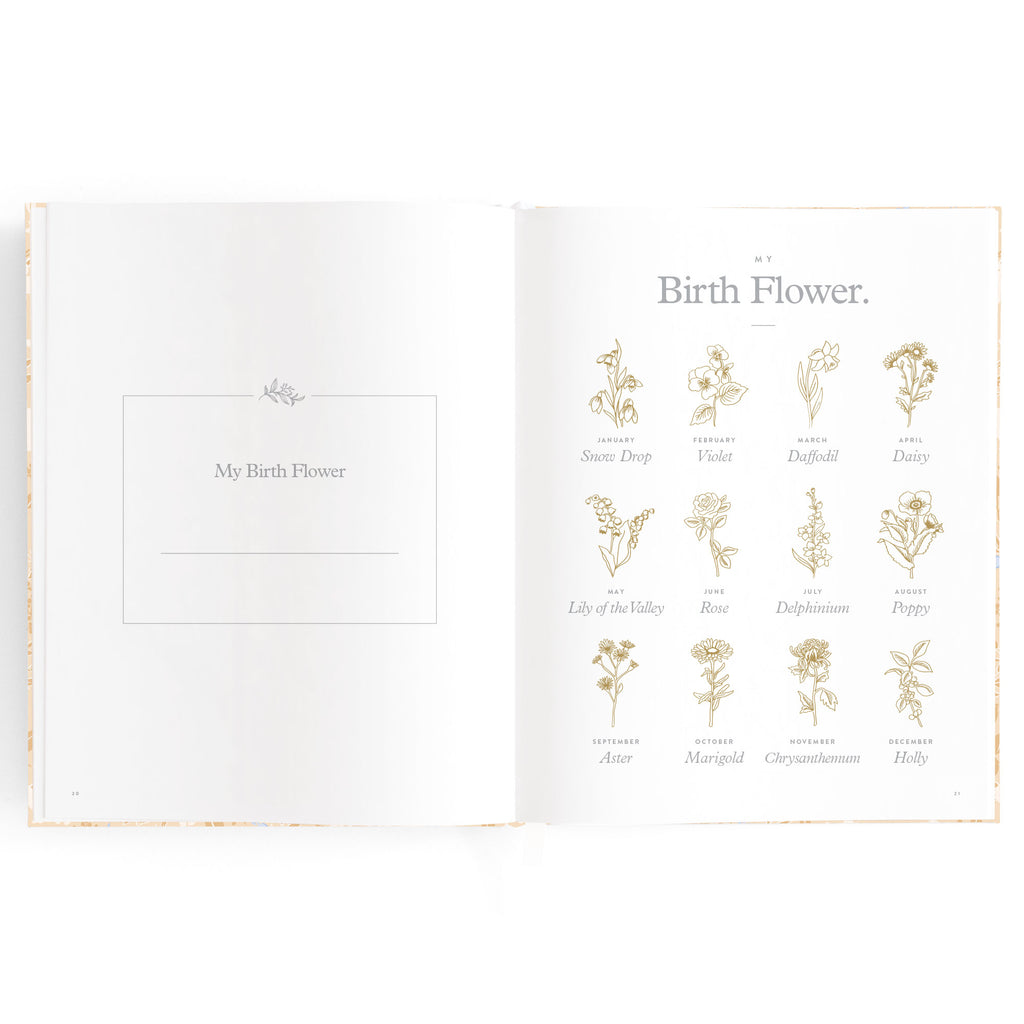 Fox & Fallow Baby Book - Forest Friends Maple