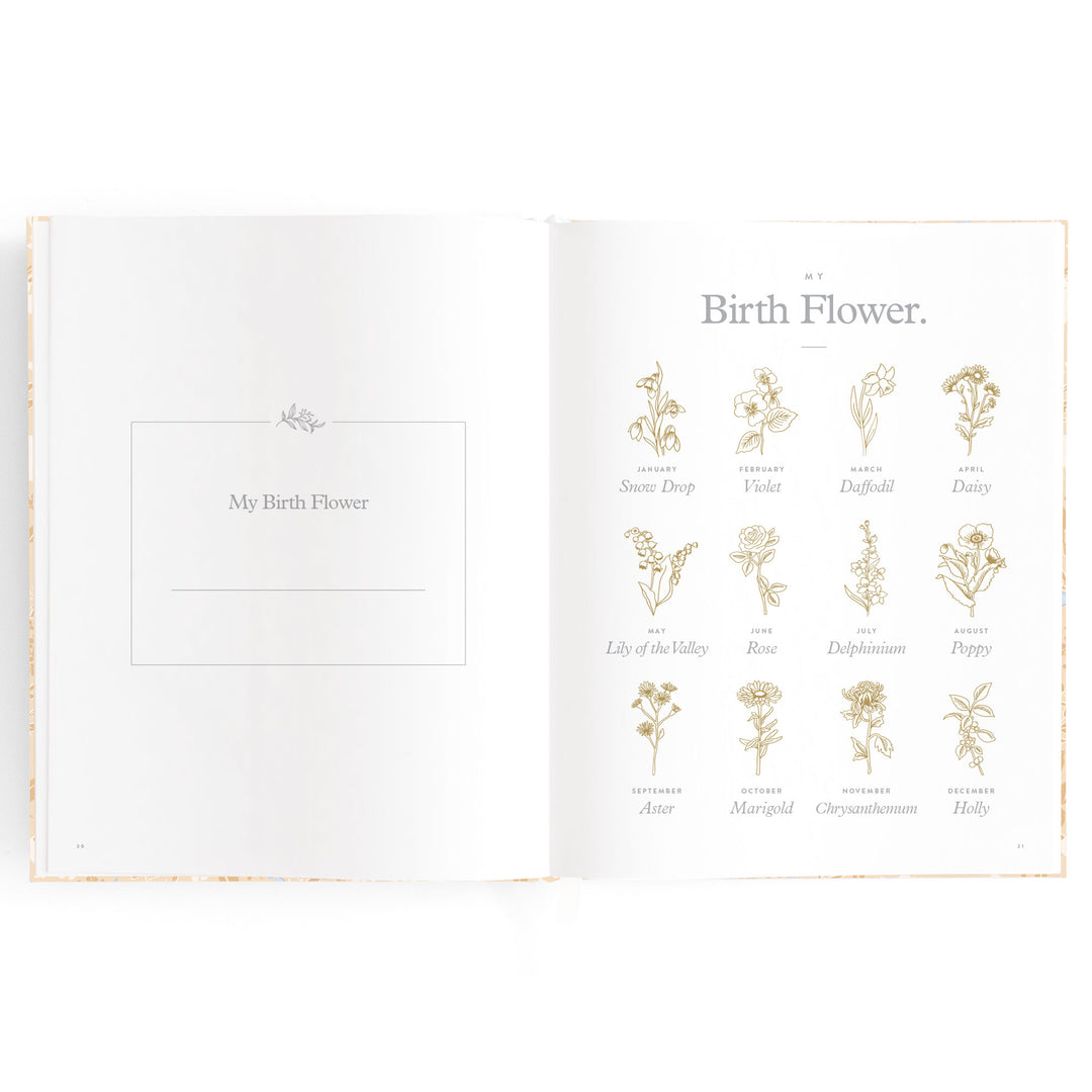 Fox & Fallow Baby Book - Forest Friends Maple