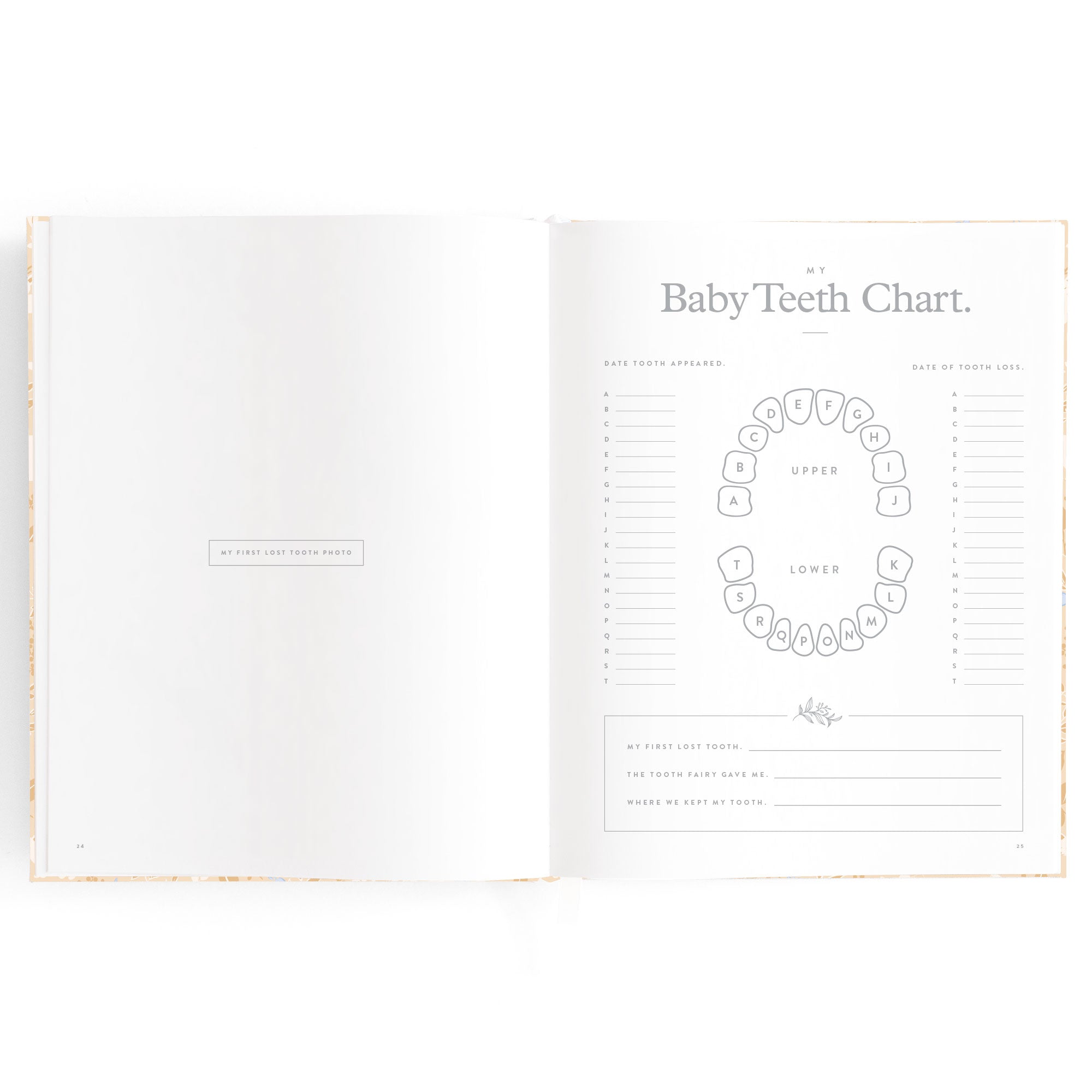 Fox & Fallow Baby Book - Forest Friends Maple
