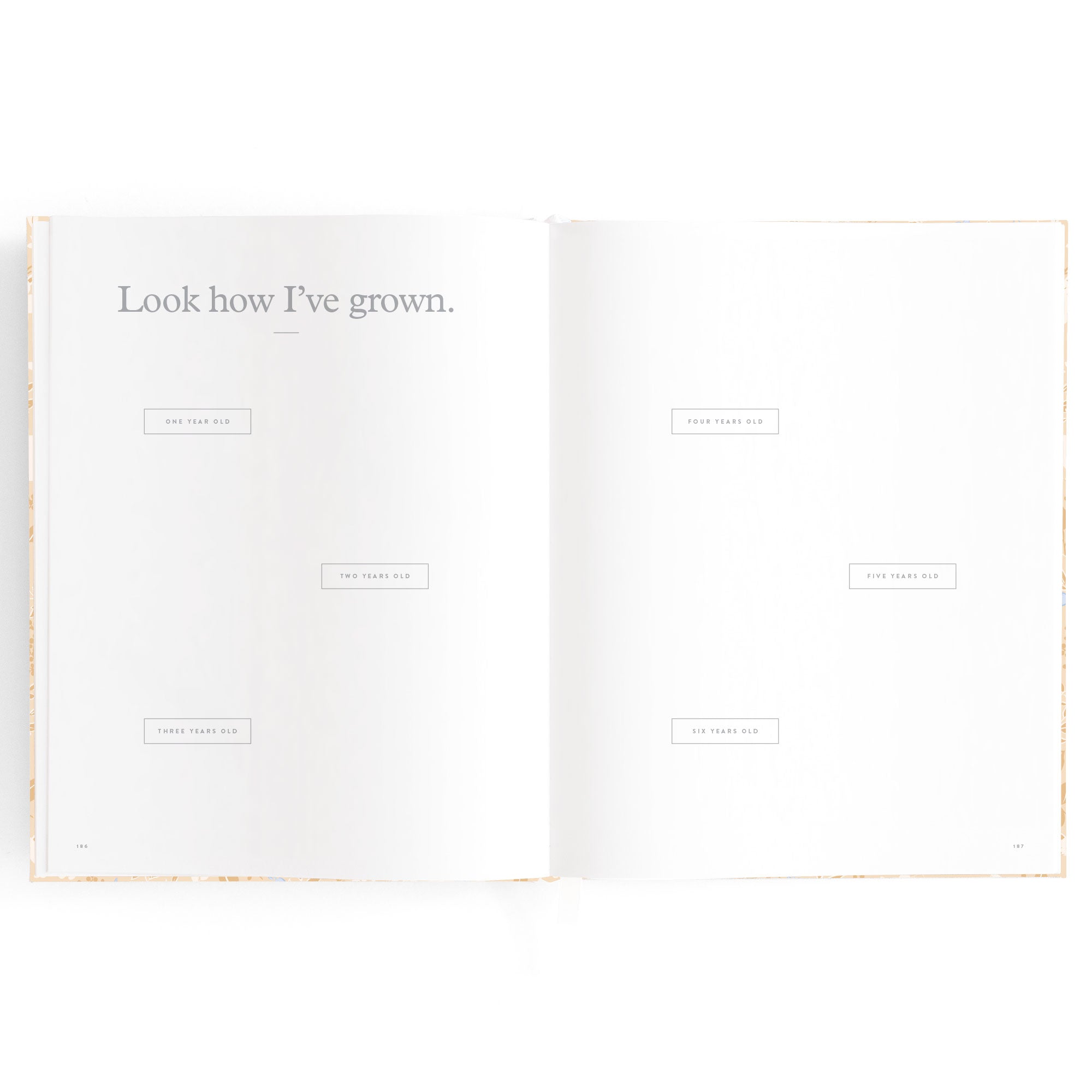 Fox & Fallow Baby Book - Forest Friends Maple