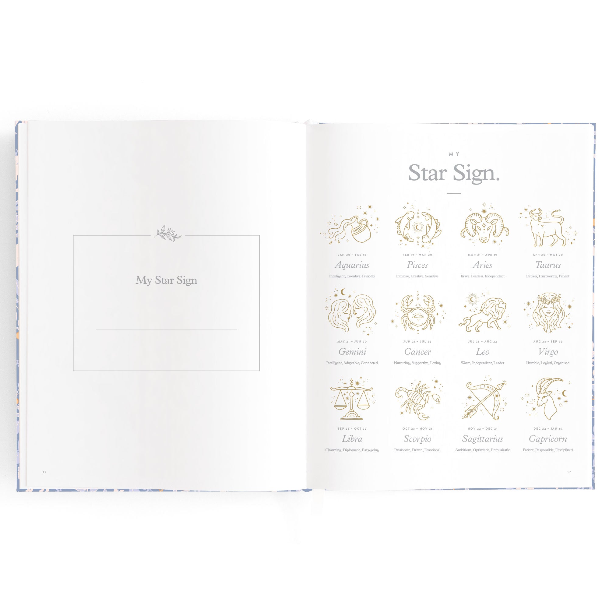 Fox & Fallow Baby Book - Forest Friends Cornflower
