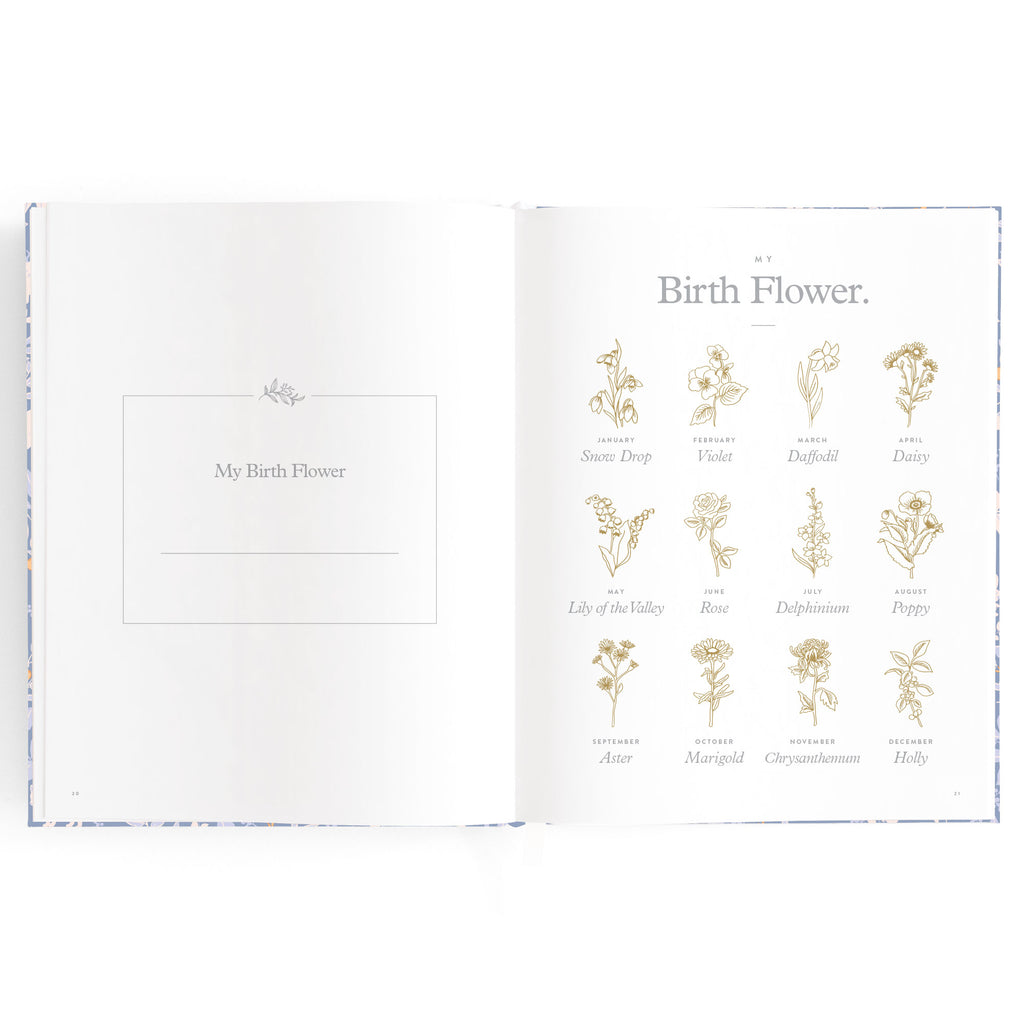 Fox & Fallow Baby Book - Forest Friends Cornflower