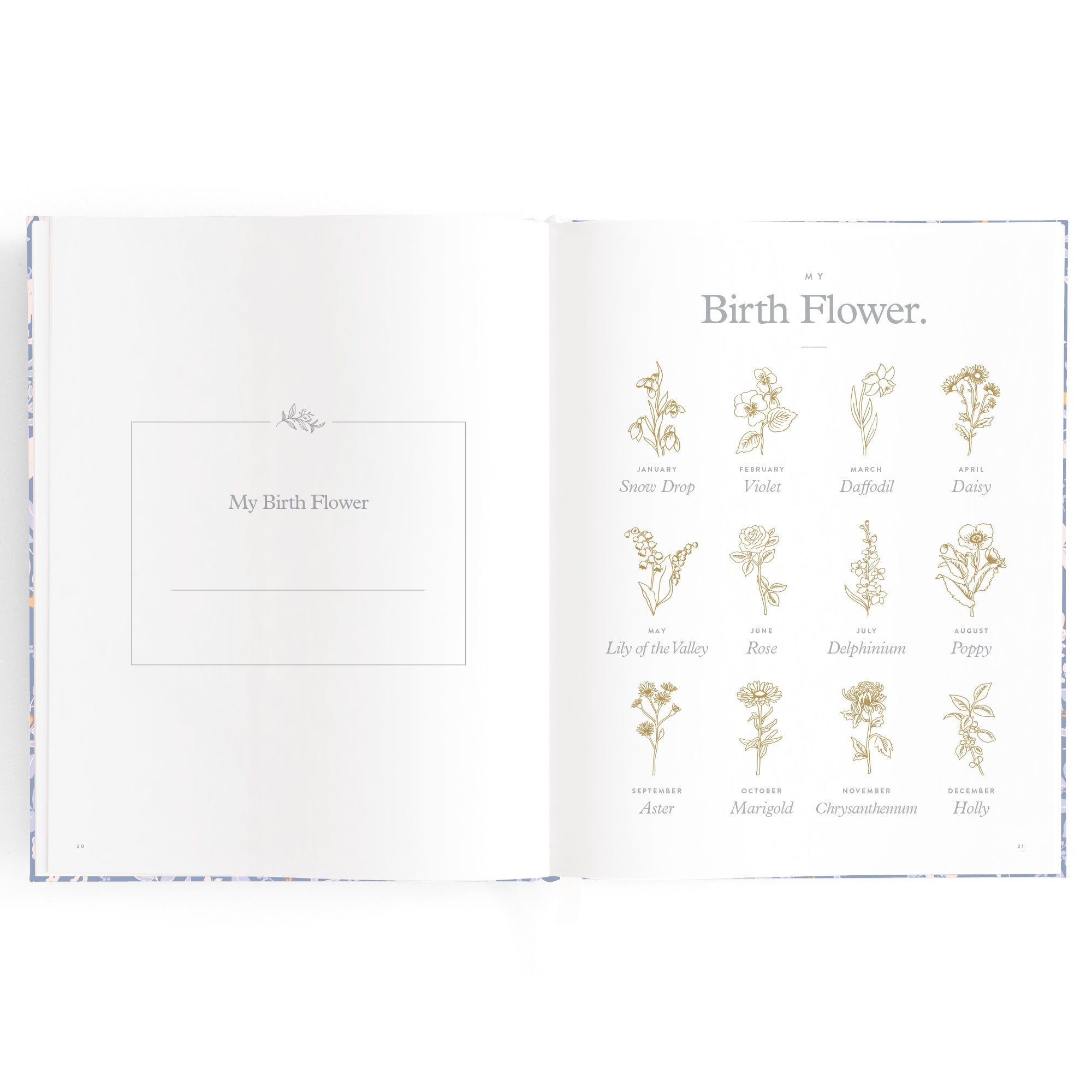 Fox & Fallow Baby Book - Forest Friends Cornflower
