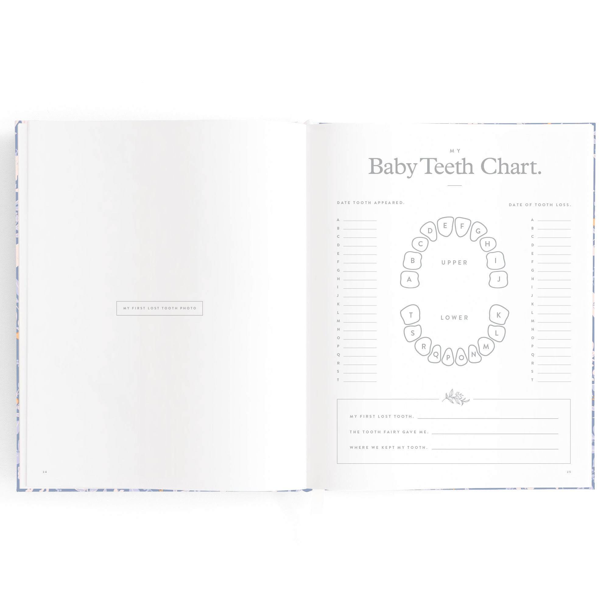 Fox & Fallow Baby Book - Forest Friends Cornflower