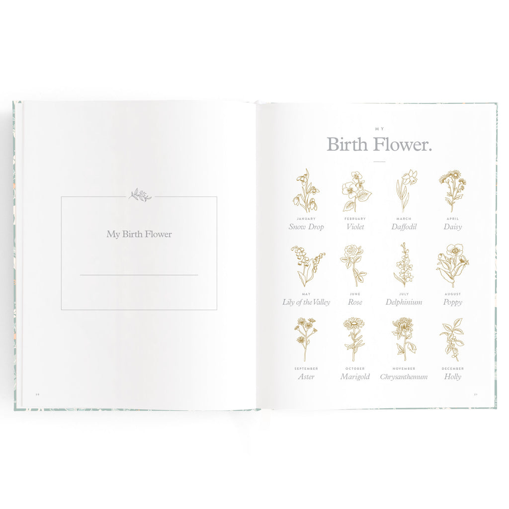 Fox & Fallow Baby Book - Forest Friends Sage