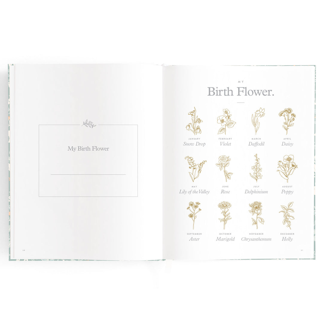 Fox & Fallow Baby Book - Forest Friends Sage