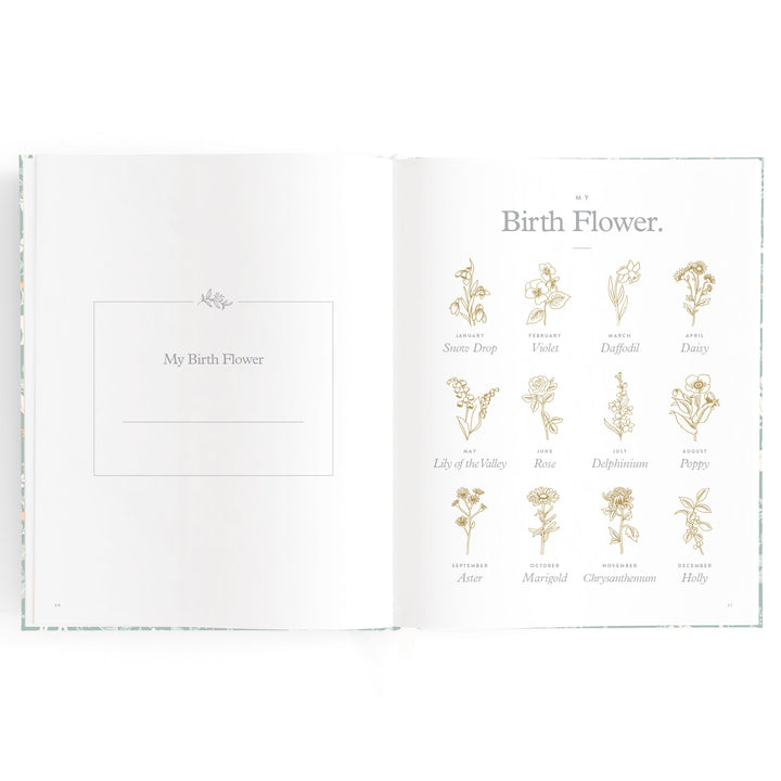 Fox & Fallow Baby Book - Forest Friends Sage