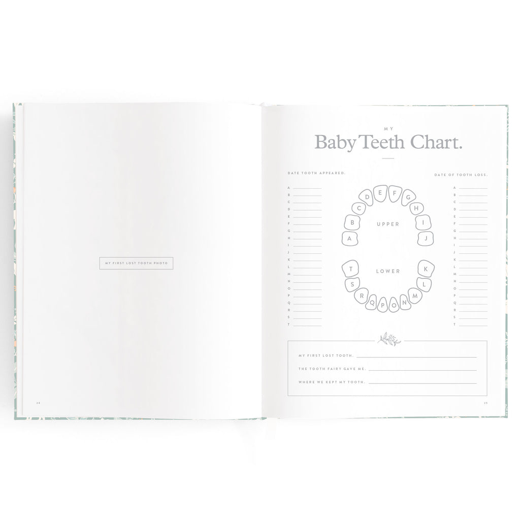 Fox & Fallow Baby Book - Forest Friends Sage