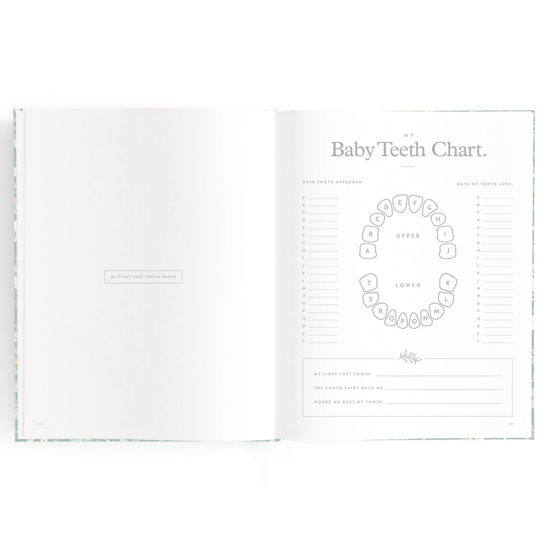 Fox & Fallow Baby Book - Forest Friends Sage