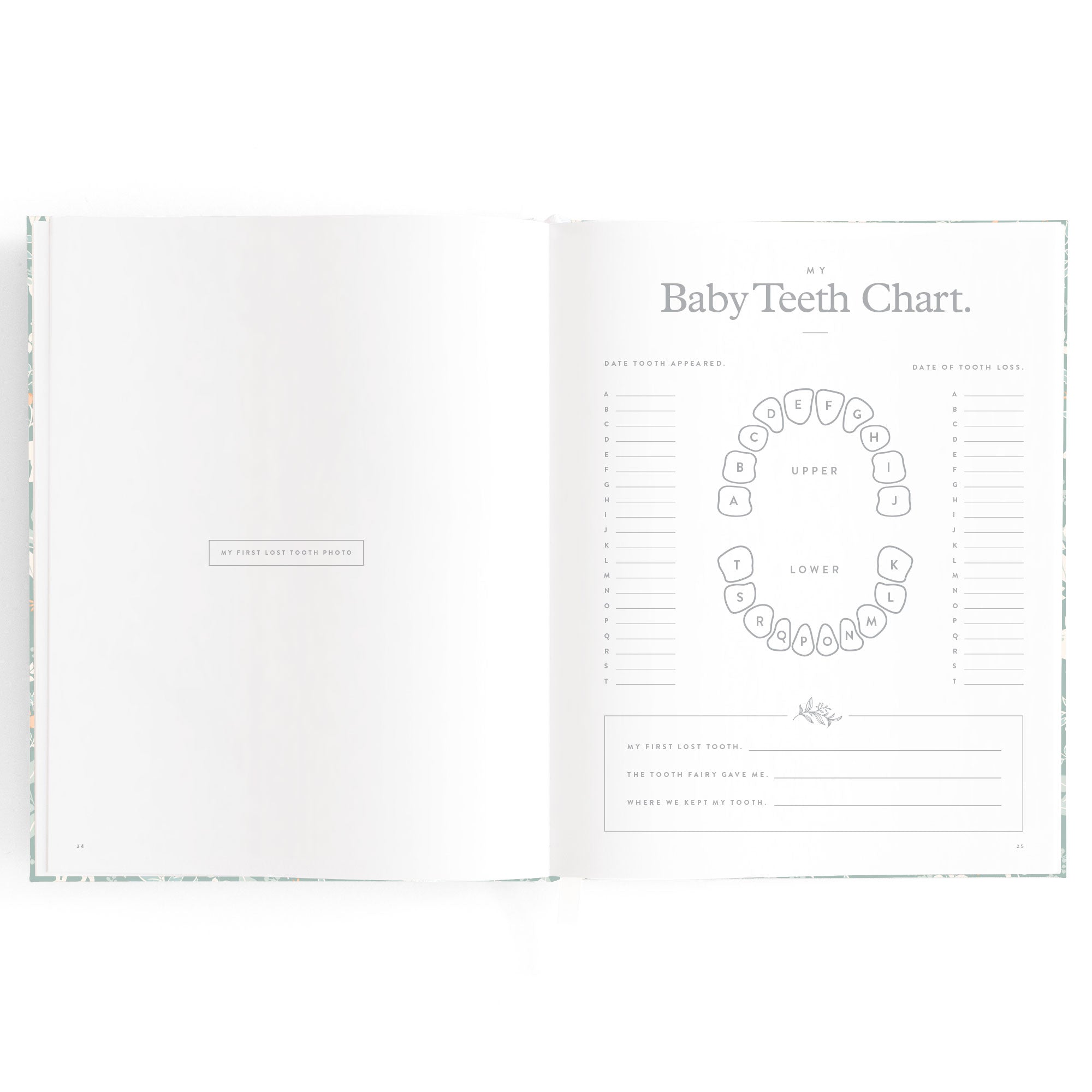 Fox & Fallow Baby Book - Forest Friends Sage