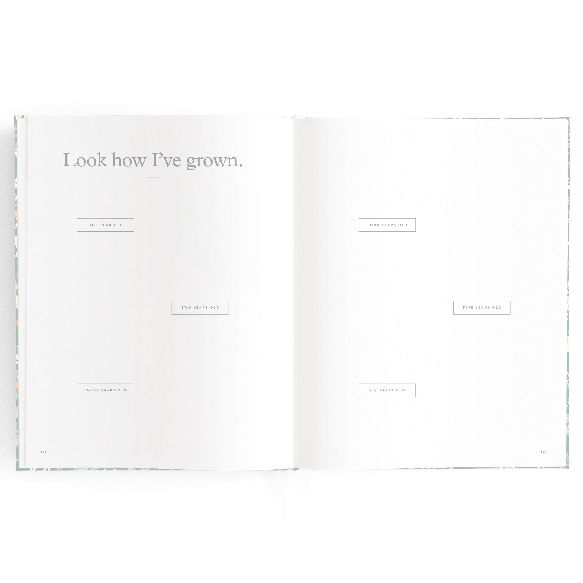 Fox & Fallow Baby Book - Forest Friends Sage