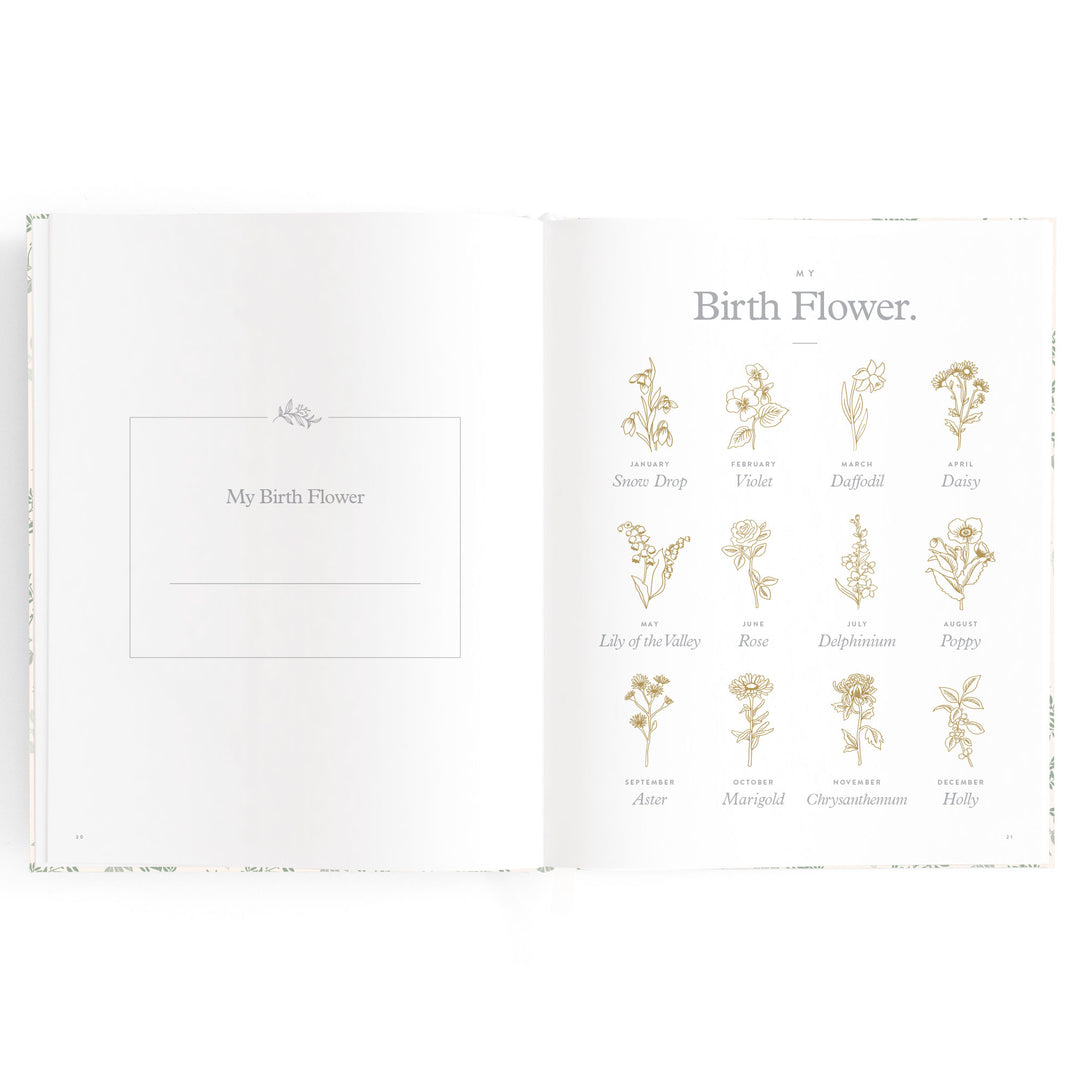 Fox & Fallow Baby Book - Cypress