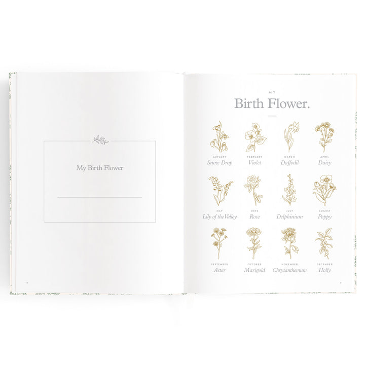 Fox & Fallow Baby Book - Cypress