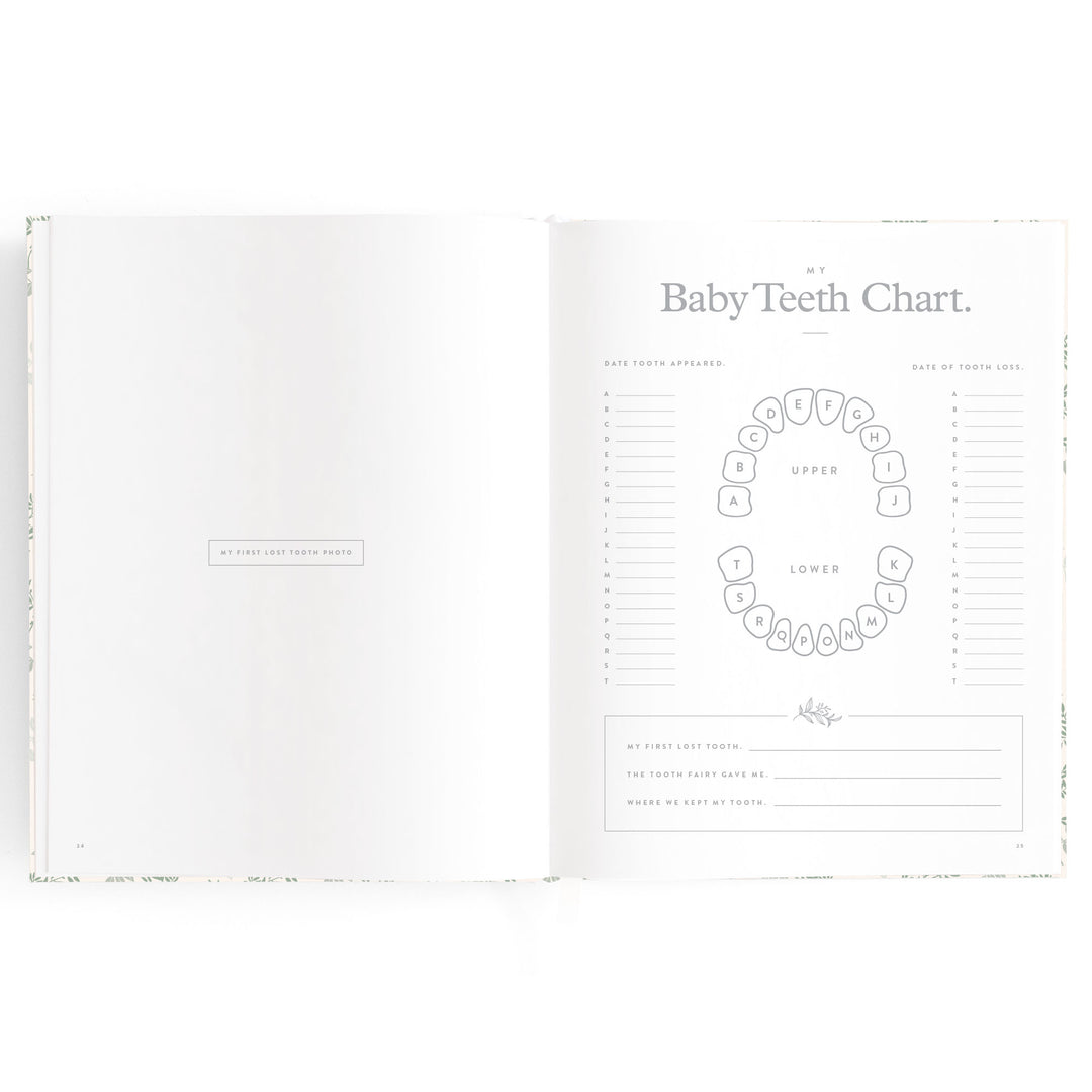 Fox & Fallow Baby Book - Cypress
