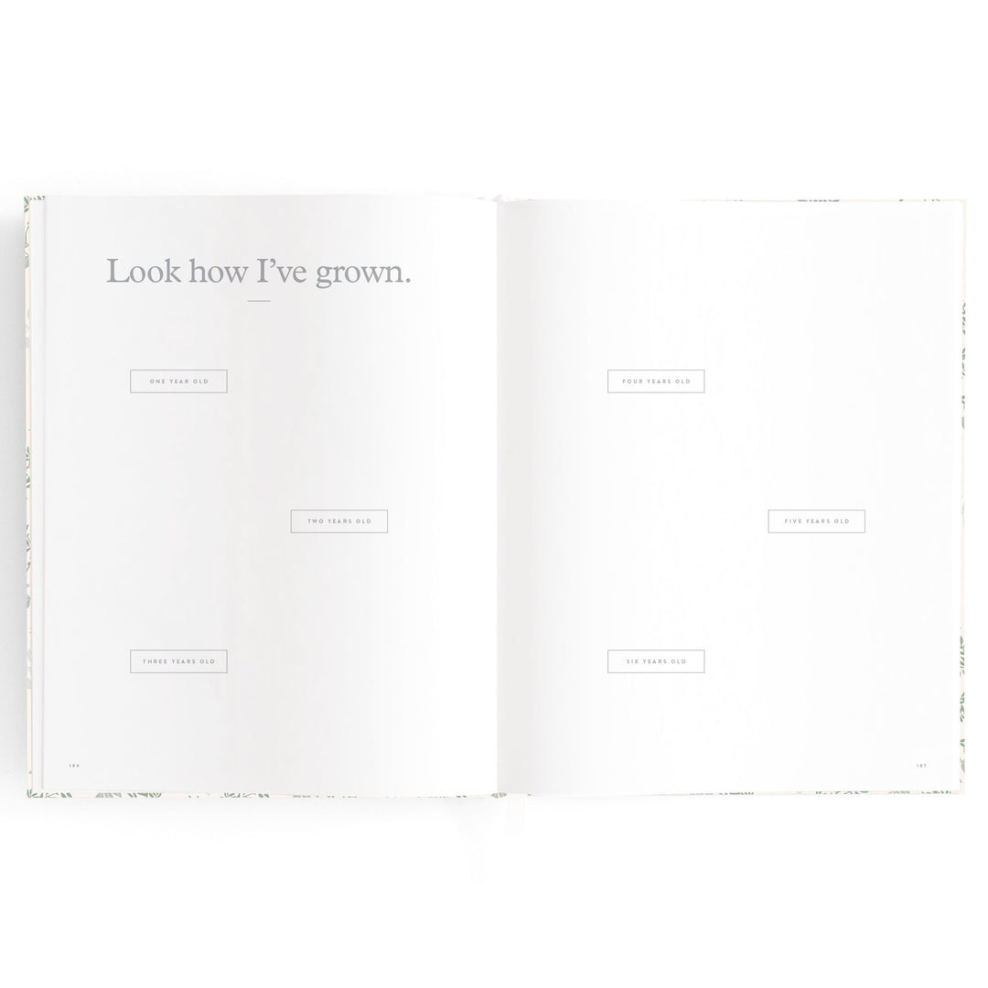 Fox & Fallow Baby Book - Cypress