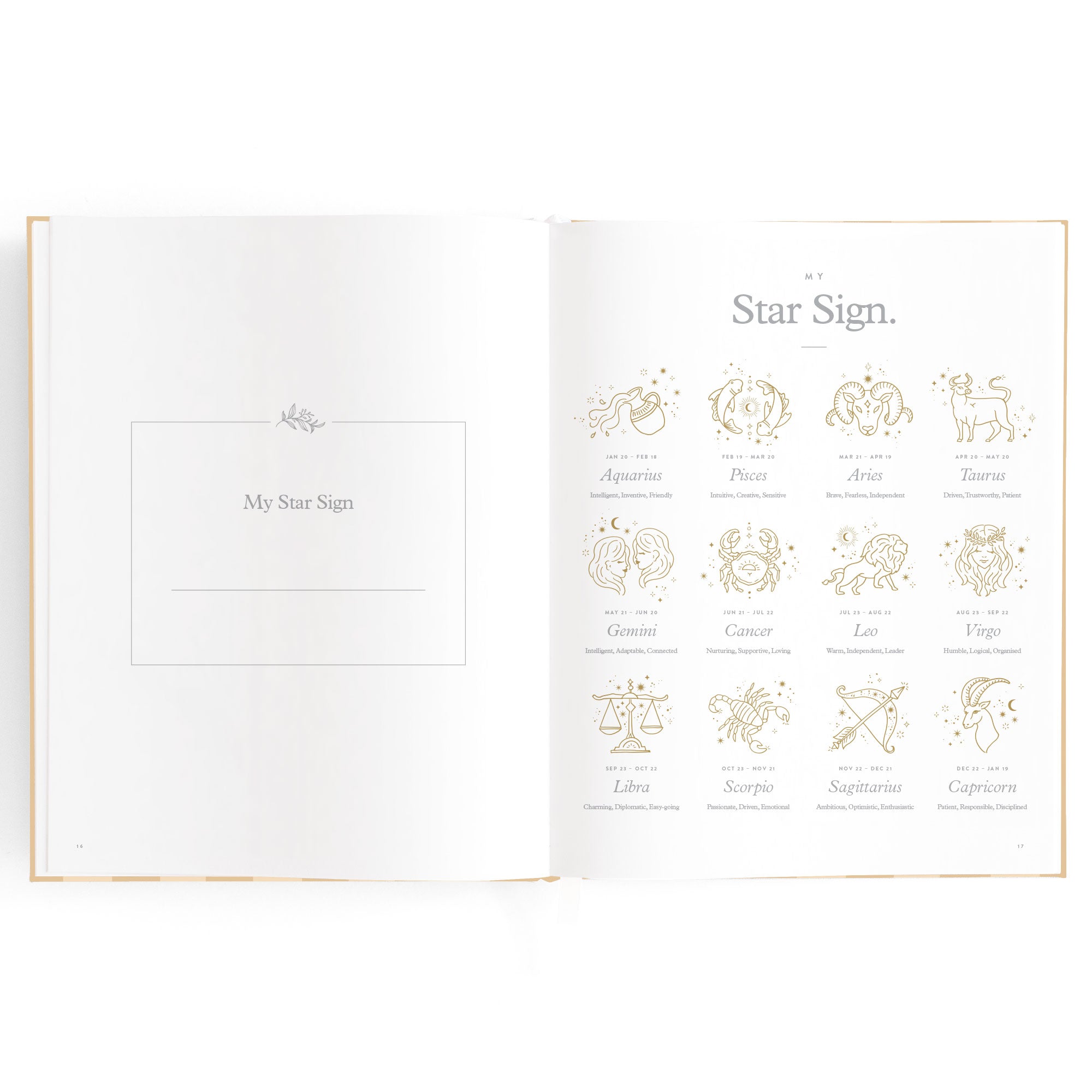 Fox & Fallow Baby Book - Coffee Stripe