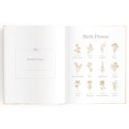 Baby Book - Coffee Stripe