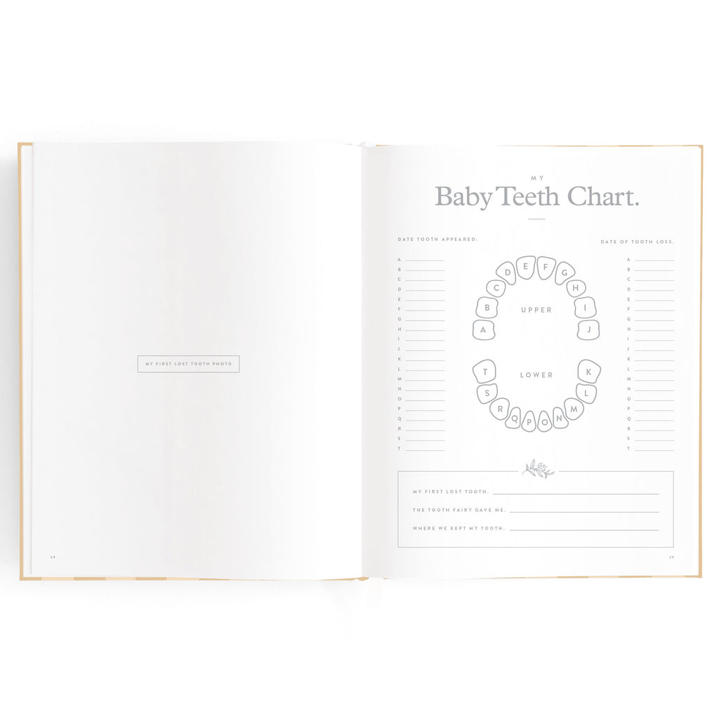 Fox & Fallow Baby Book - Coffee Stripe