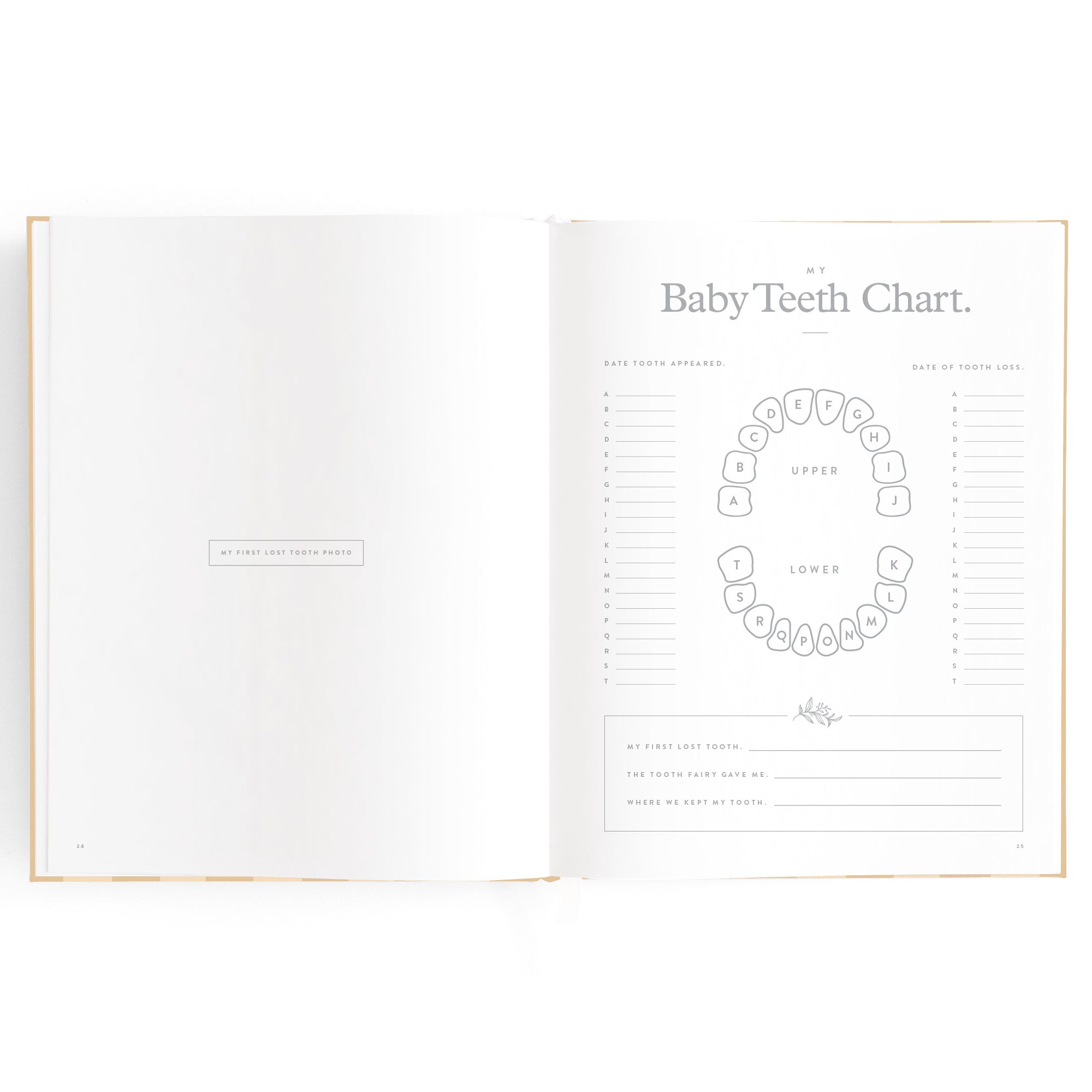 Fox & Fallow Baby Book - Coffee Stripe