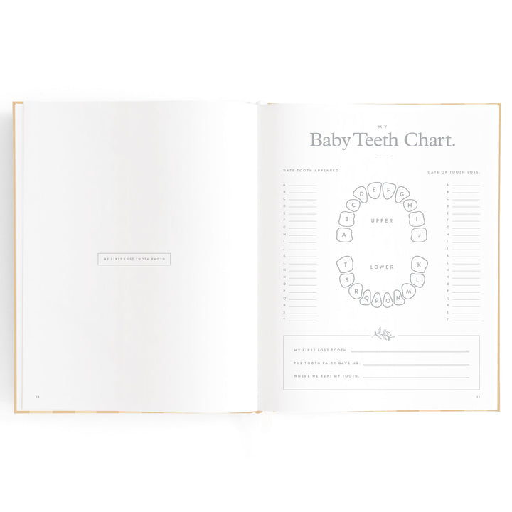 Fox & Fallow Baby Book - Coffee Stripe