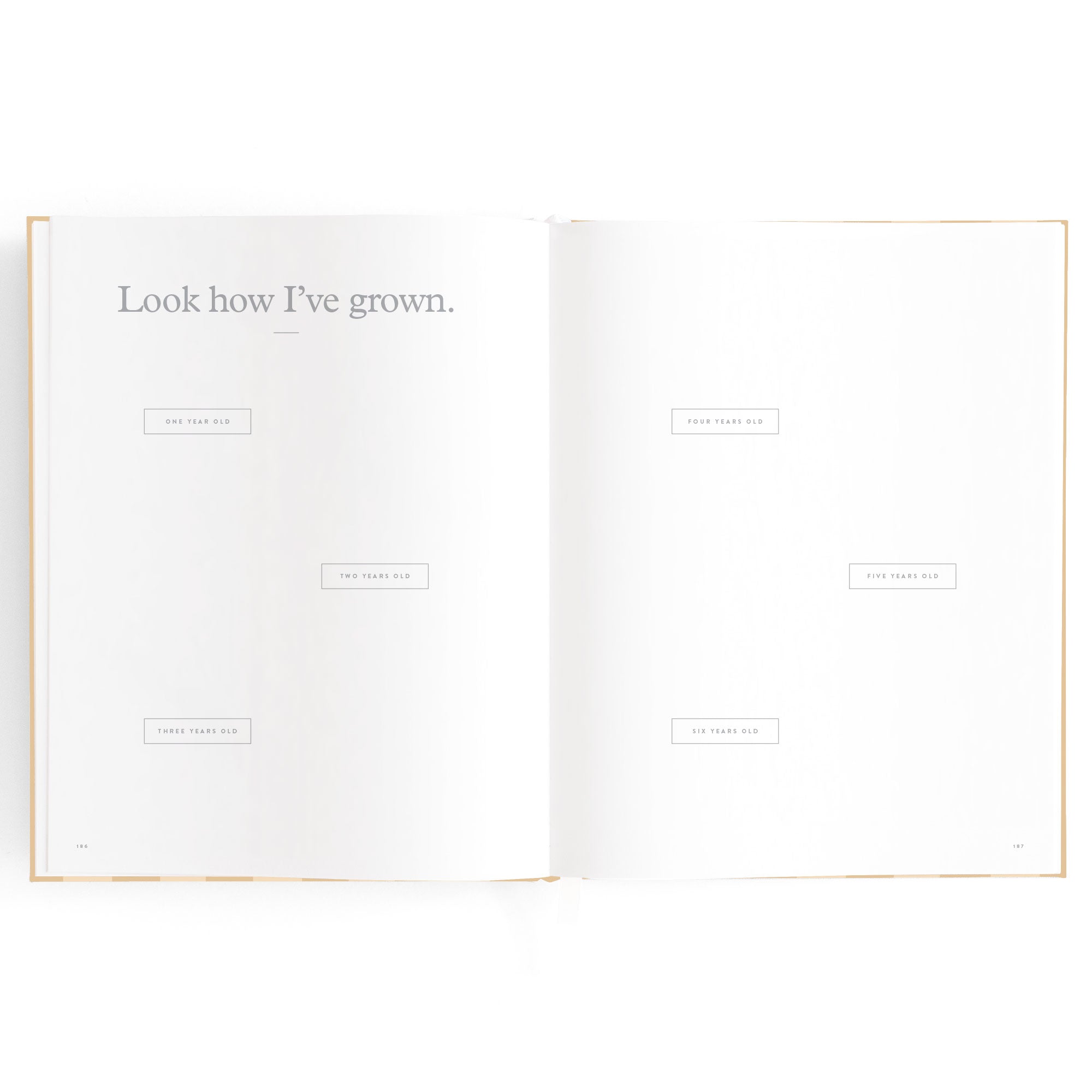 Fox & Fallow Baby Book - Coffee Stripe