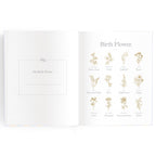 Baby Book - Cloud Stripe