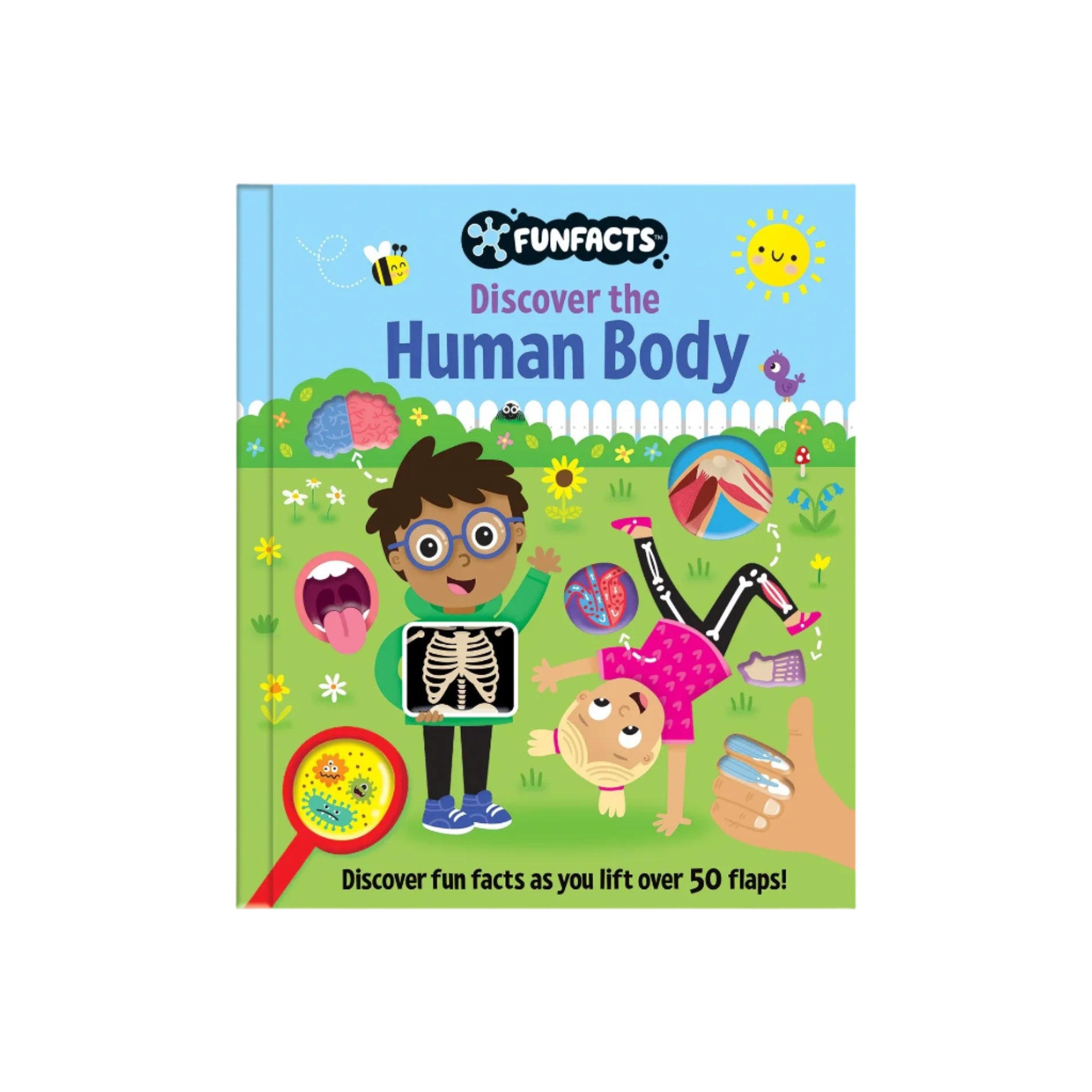 FunFacts - Lift the Flap Board Book - Discover the Human Body