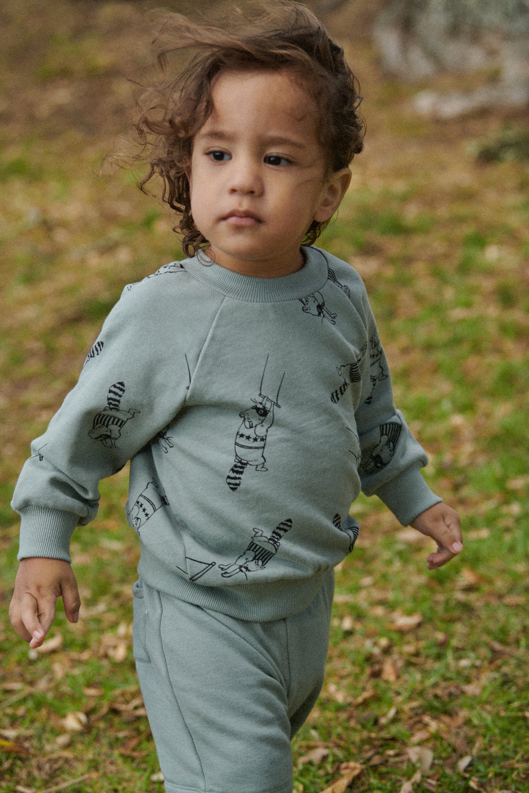 Nature Baby Emerson Sweater - Raccoon Rhapsody Print