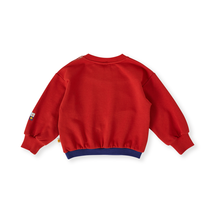 Goldie + Ace Nash Piped Panel Sweatshirt - Outback