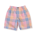 Rainbow Gingham Kirby Relaxed Shorts - Multi