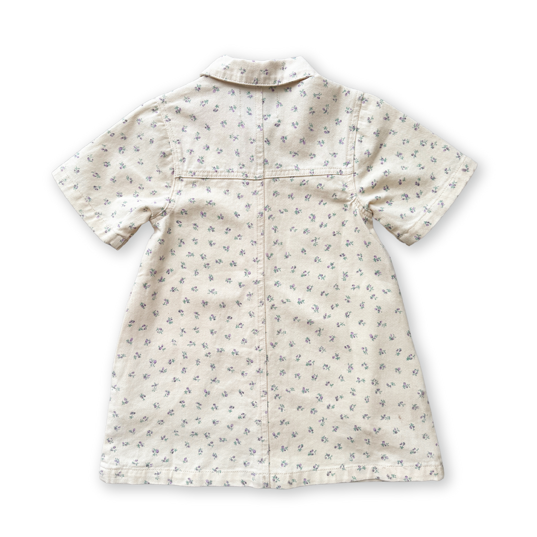 Grown Collar Dress - Garden