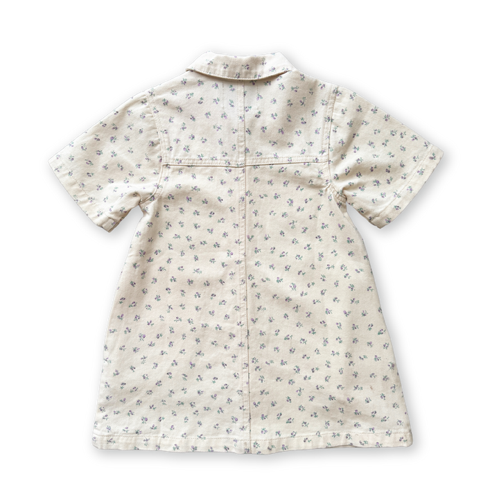 Grown Collar Dress - Garden