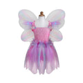 Pink Butterfly Dress & Wings with Wand Size 5-6