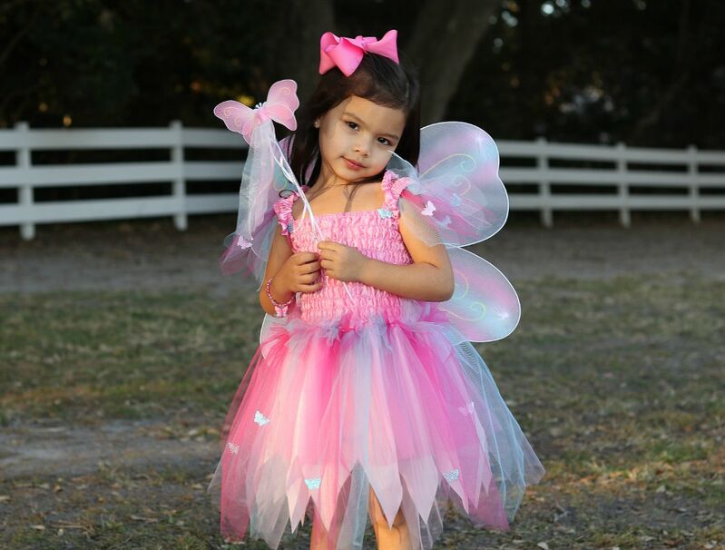 Great Pretenders Pink Butterfly Dress & Wings with Wand Size 5-6