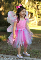 Pink Butterfly Dress & Wings with Wand Size 5-6