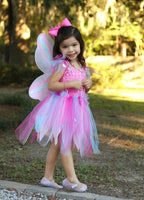 Pink Butterfly Dress & Wings with Wand Size 5-6