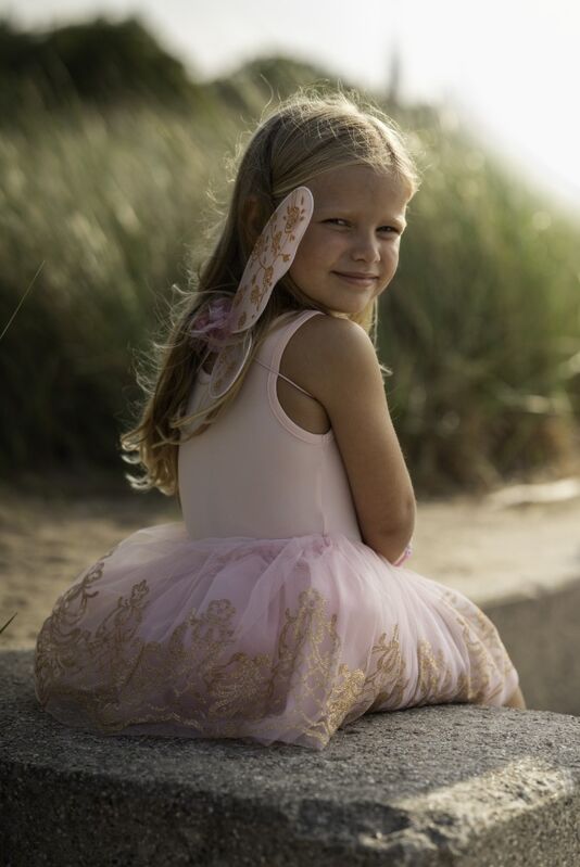 Great Pretenders Rose Gold Tutu & Wings Set Size 4-6