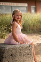 Rose Gold Tutu & Wings Set Size 4-6