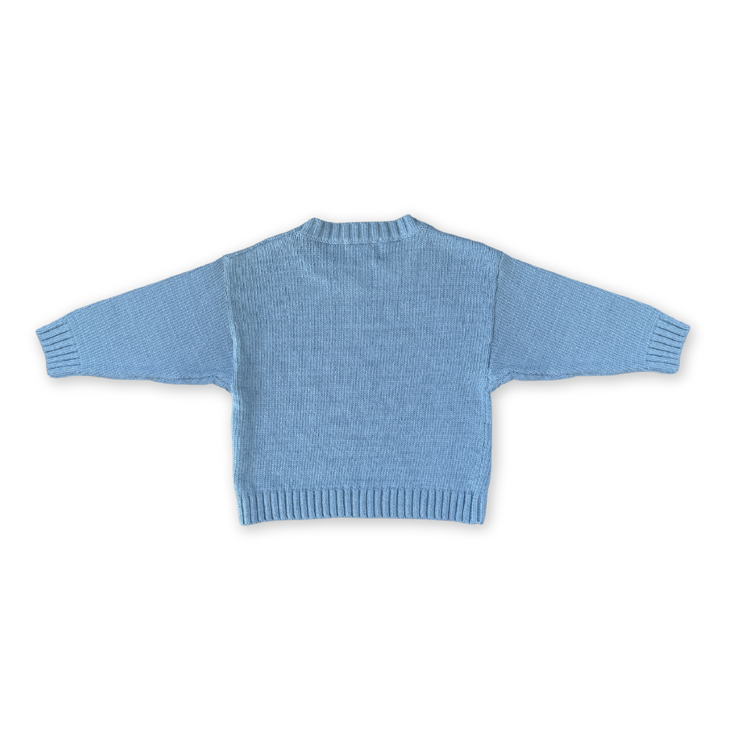 Organic Swirl Intarsia Knit Pull Over - Duck Egg