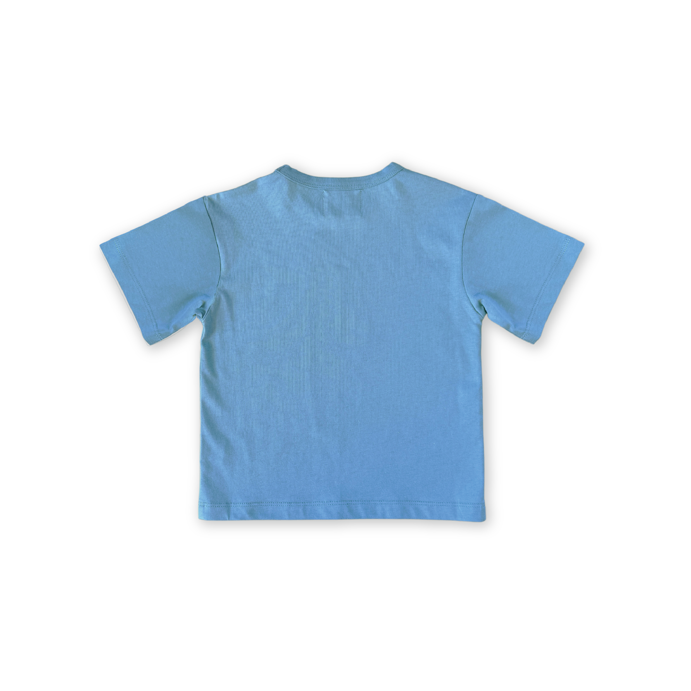 Organic Almost Grown Tee - Duck Egg