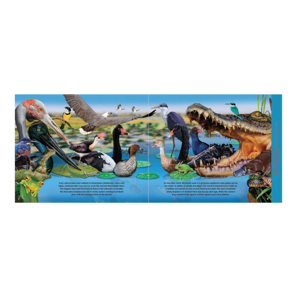 Garry Fleming's Animals of Australia Book