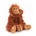 The Orangutans